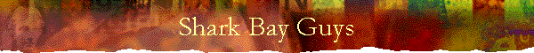 Shark Bay Guys