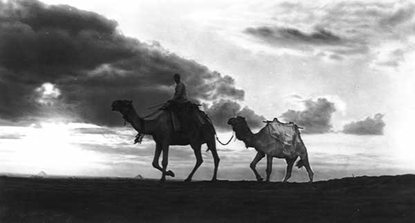 camelsunset.jpg (16396 bytes)